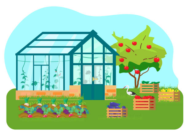 Greenhouse